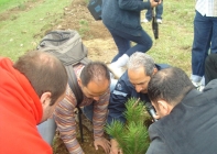 Ağaç Dikme